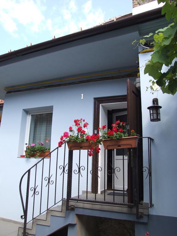 Guest house Blue House Brasov