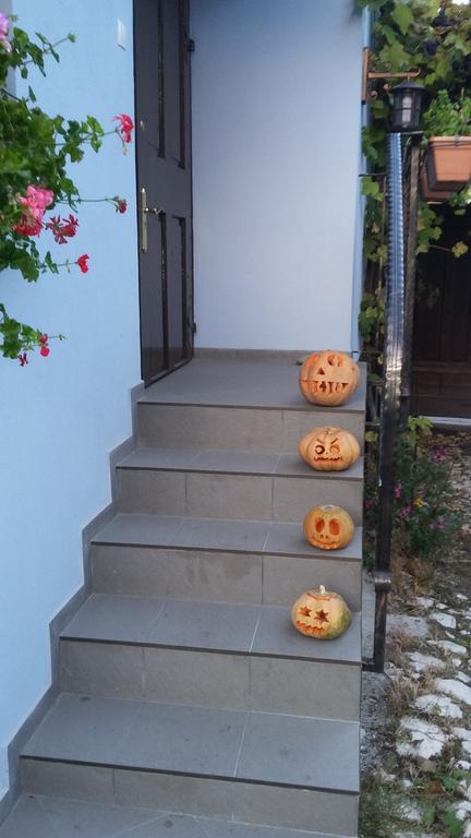Blue House Brasov